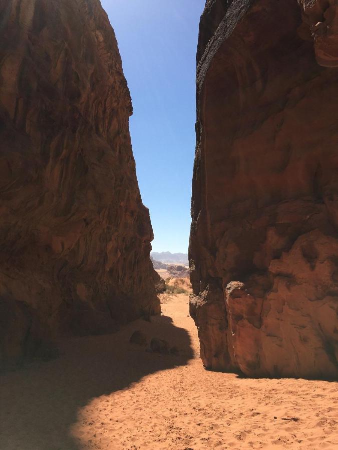 Wadi Rum Nature Eksteriør billede