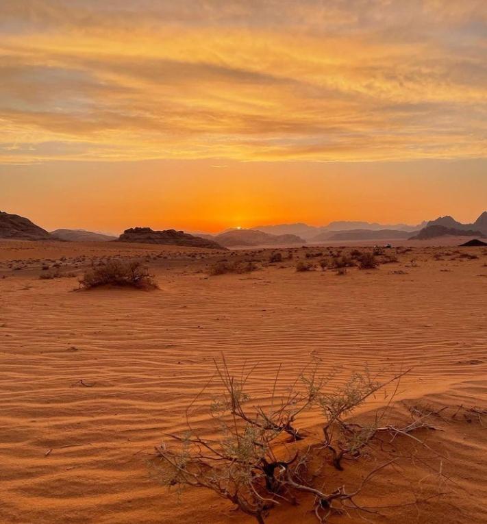 Wadi Rum Nature Eksteriør billede