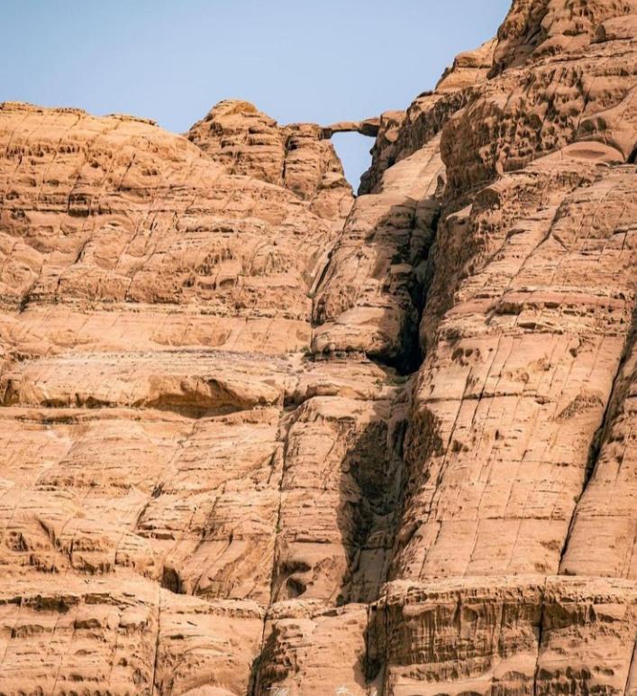 Wadi Rum Nature Eksteriør billede
