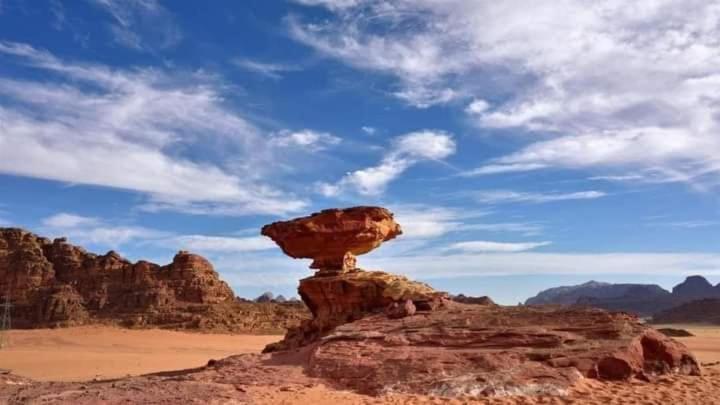 Wadi Rum Nature Eksteriør billede