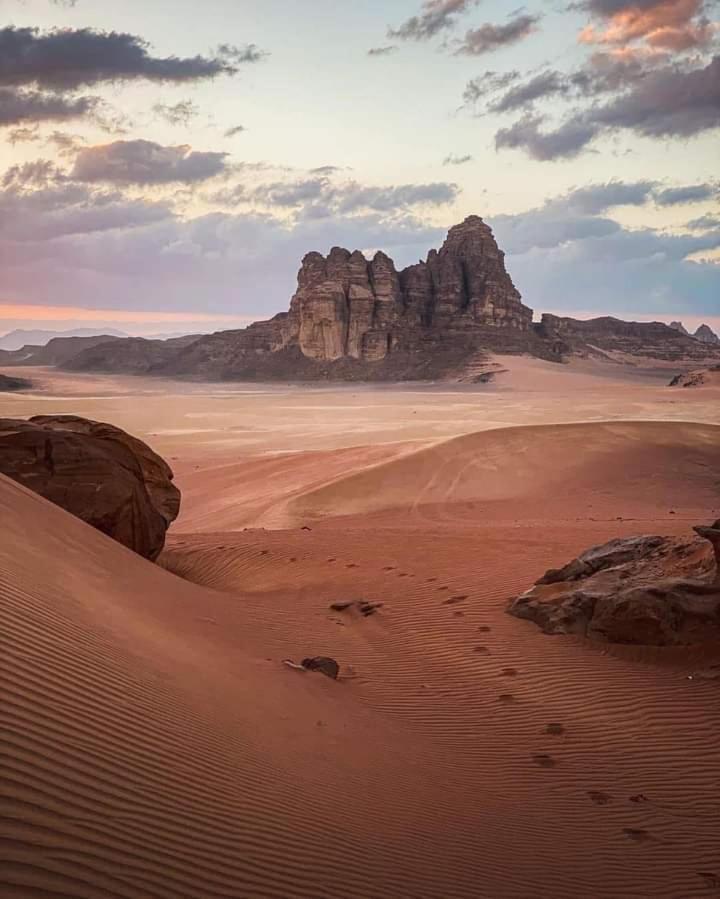 Wadi Rum Nature Eksteriør billede