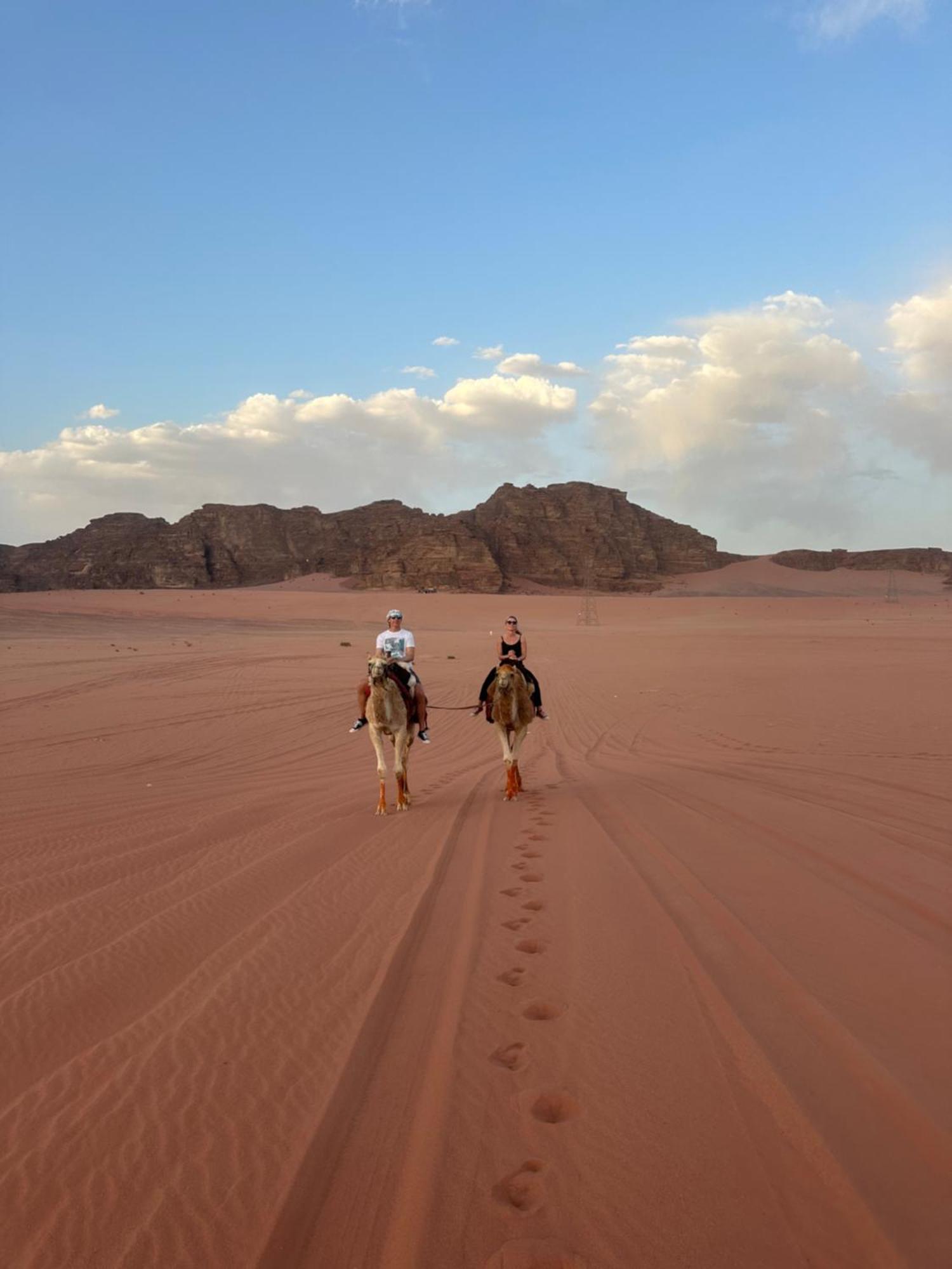 Wadi Rum Nature Eksteriør billede