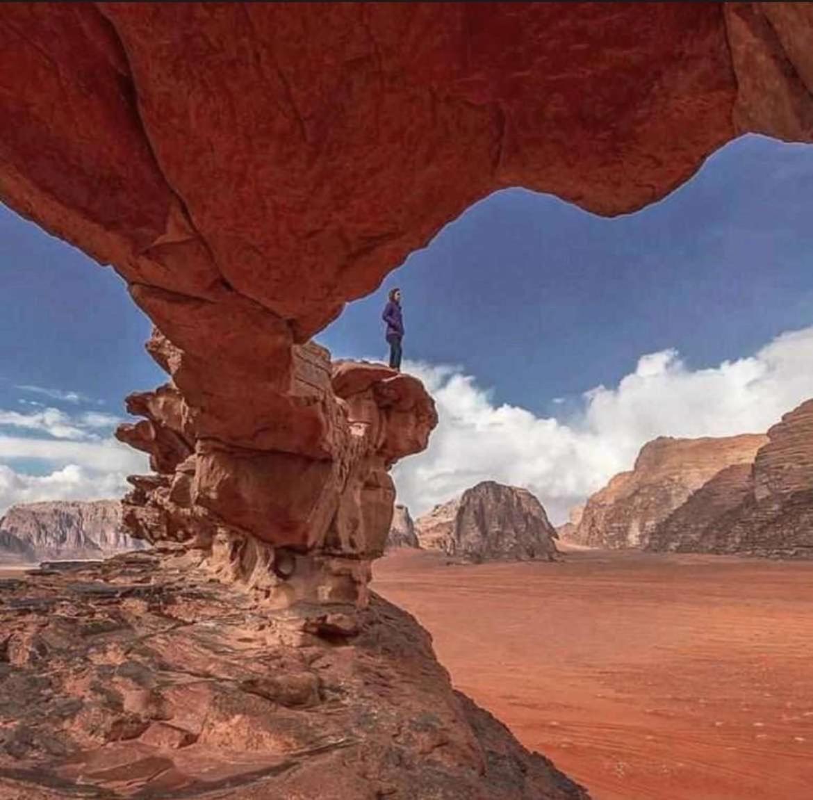 Wadi Rum Nature Eksteriør billede