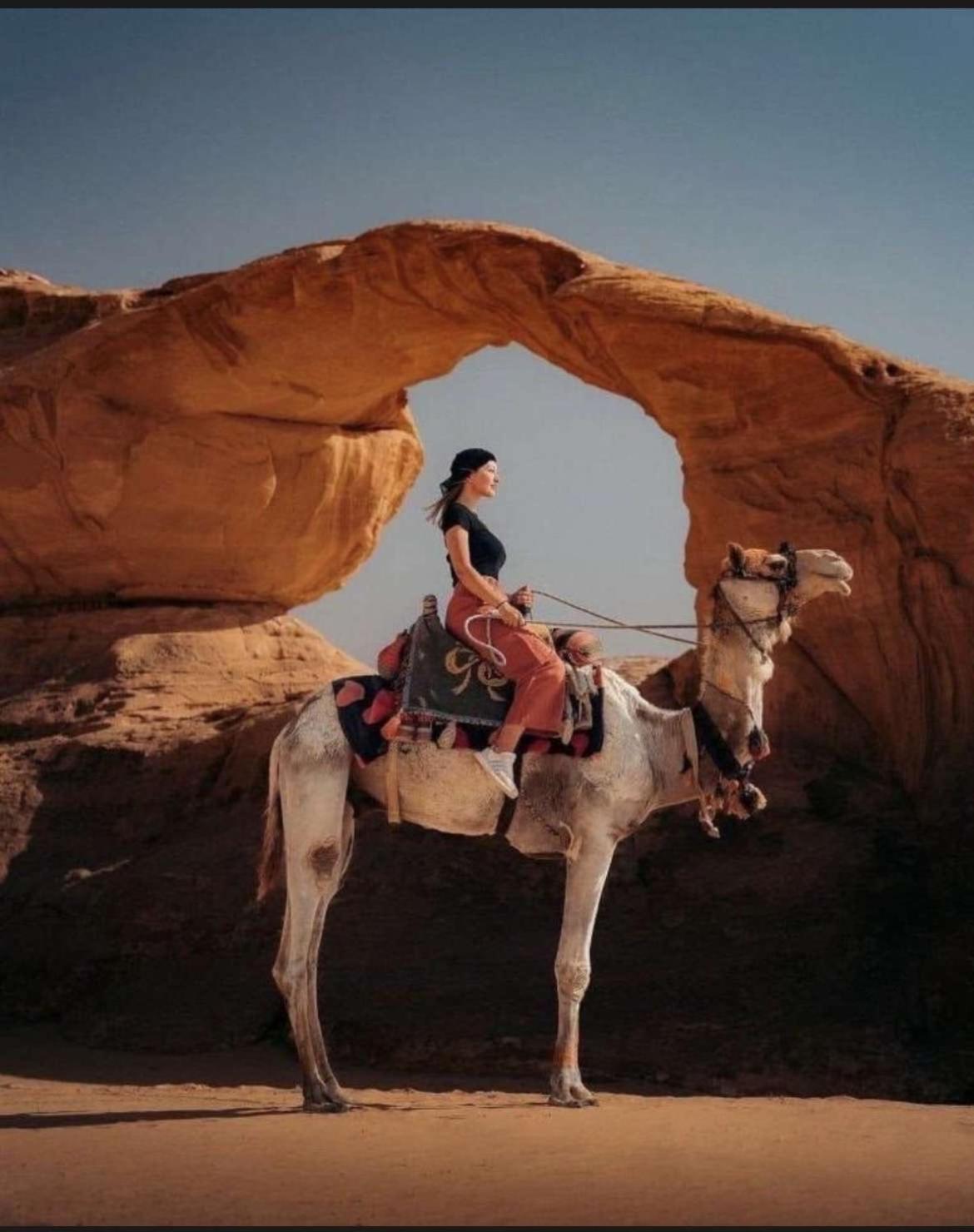 Wadi Rum Nature Eksteriør billede